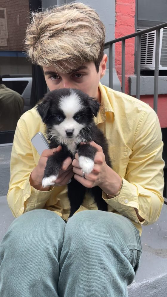 Fluffy in a yellow shirt holding tiny puppy Charlie up to the camera